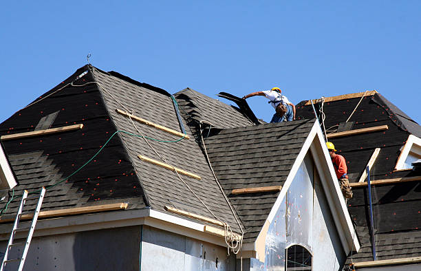 Best Roof Restoration Services  in Braddock Heights, MD